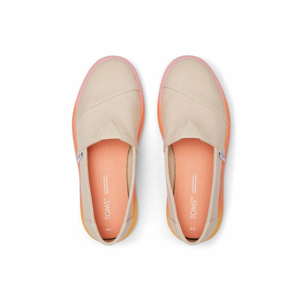 Toms Alpargata Mallow Spor Ayakkabı Kadın Bej Rengi | WDJ274069