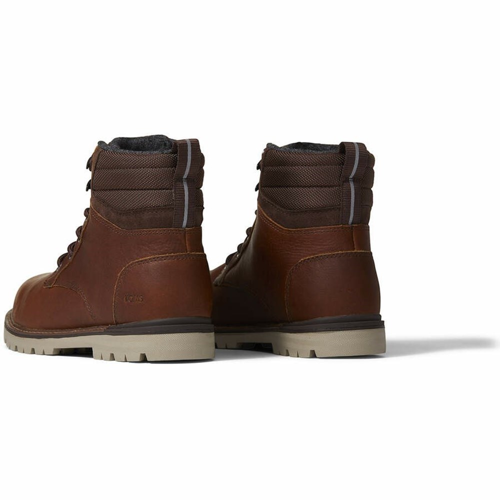 Toms Ashland Bot Erkek Kahverengi | AJR936704