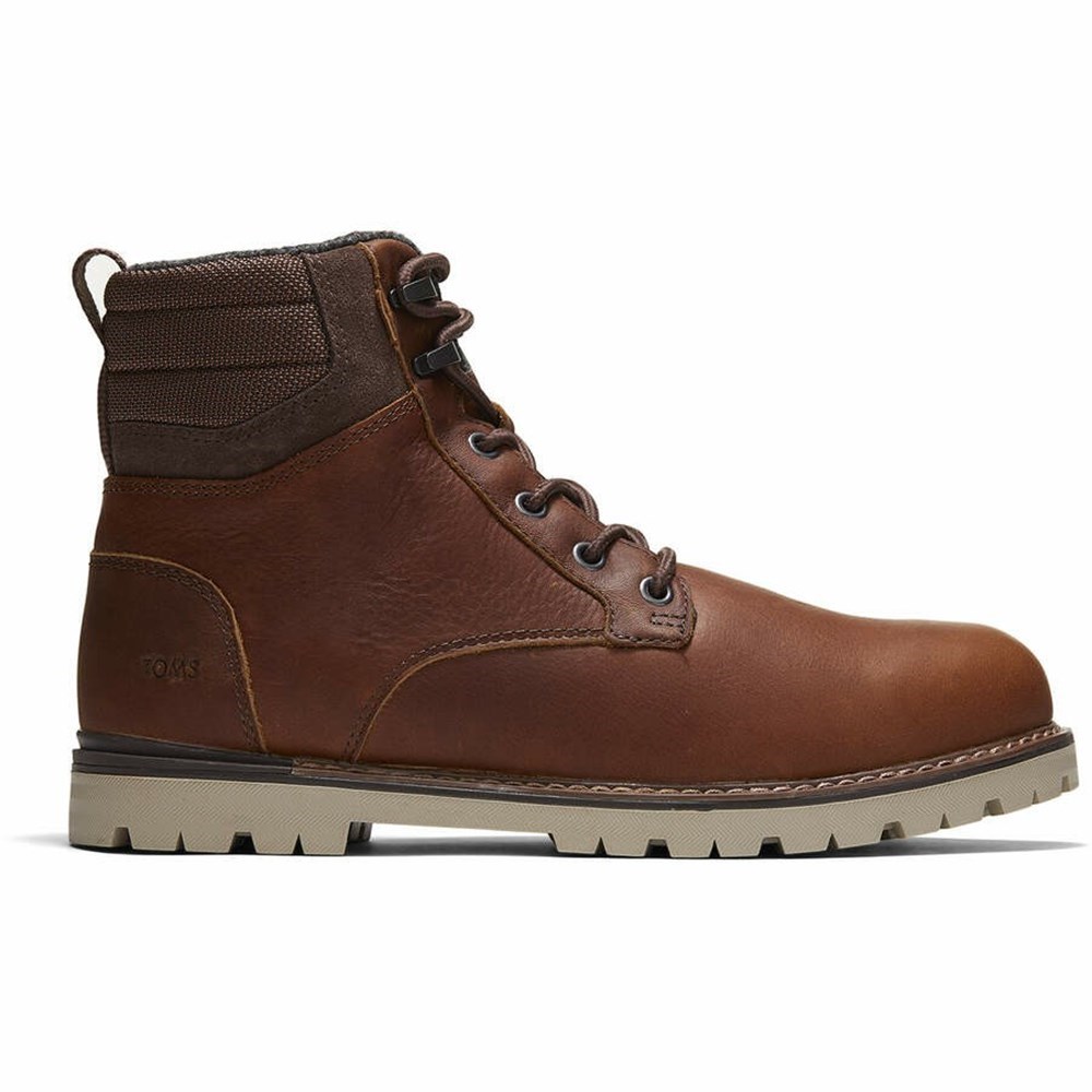Toms Ashland Bot Erkek Kahverengi | AJR936704