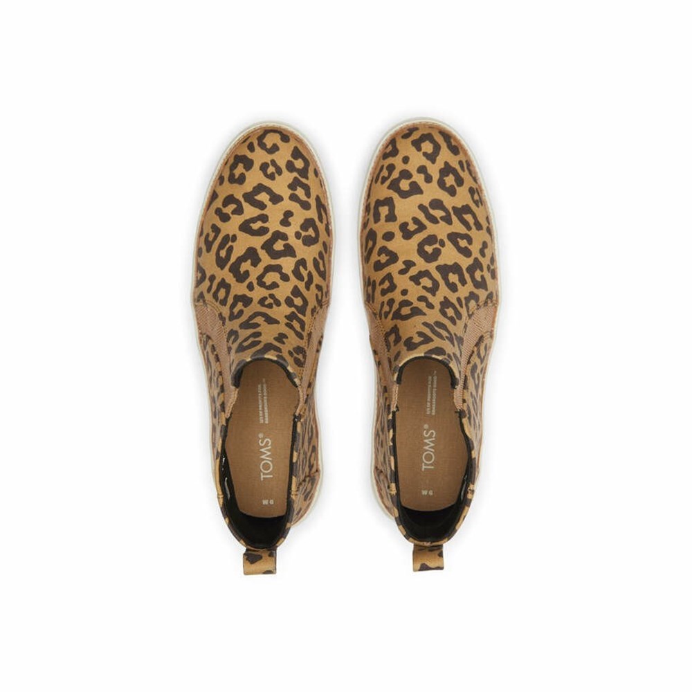 Toms Bryce Makosen Ayakkabı Kadın Leopar | JOX924130