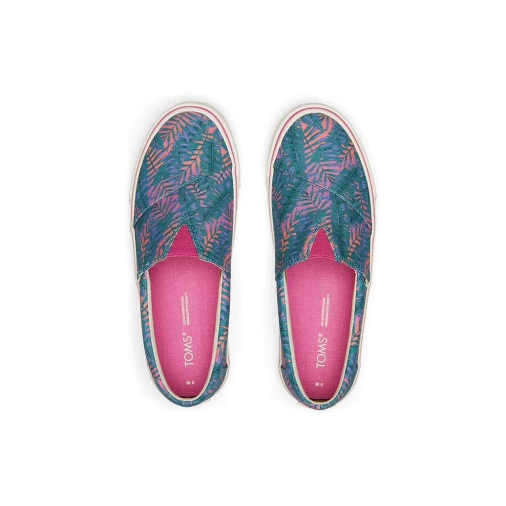 Toms Fenix Makosen Ayakkabı Kadın Renkli | YVB024539