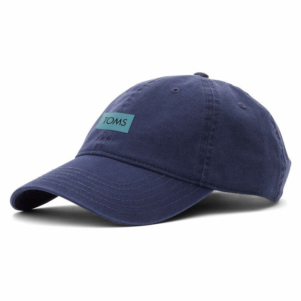 Toms Logo Dad Şapkalar Kadın Lacivert | PTB204657