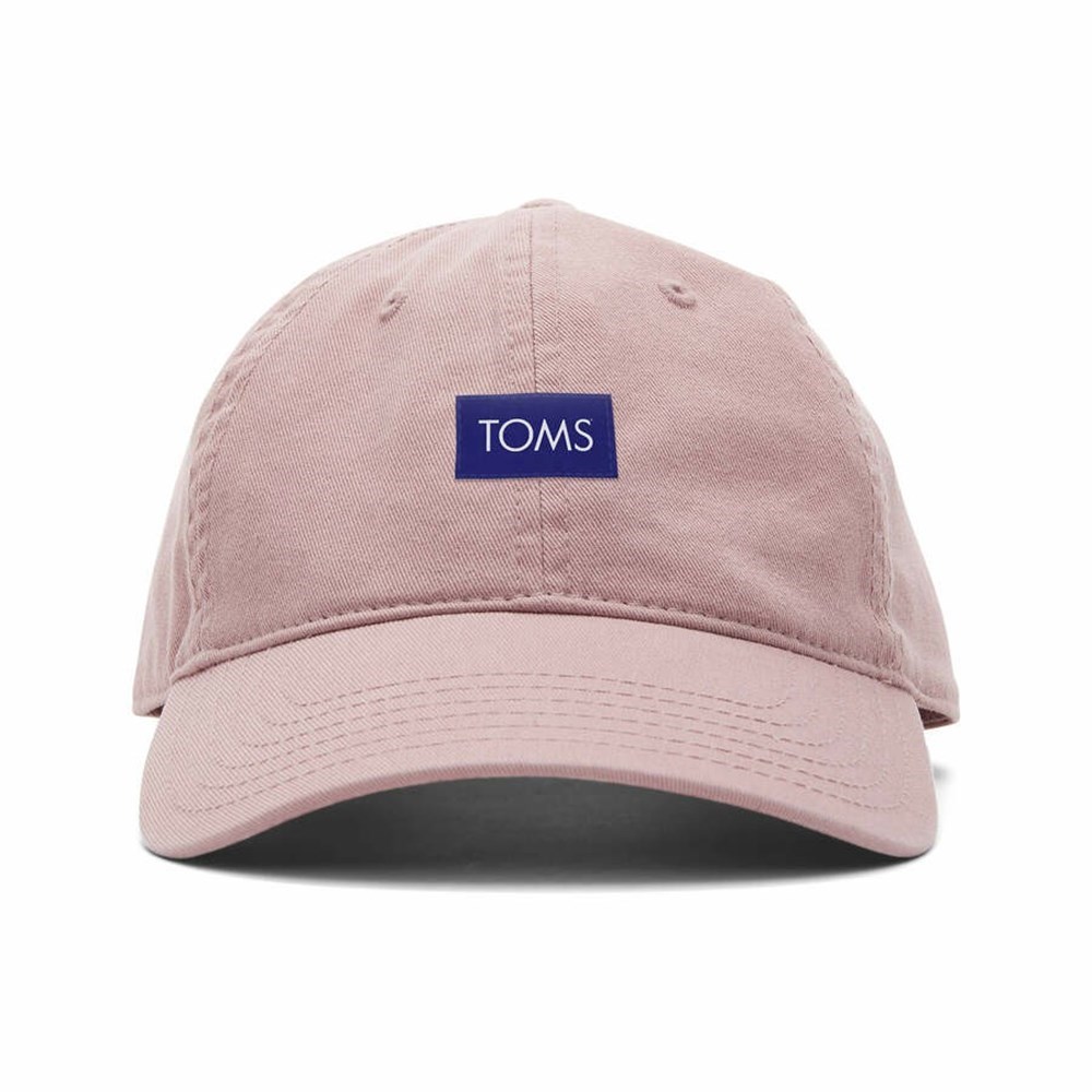 Toms Logo Dad Şapkalar Kadın Pembe | XZJ489672