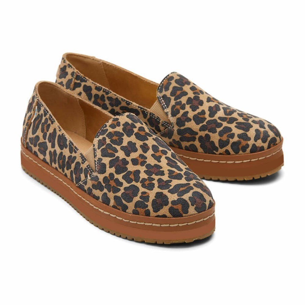 Toms Palma Espadril Kadın Kahverengi | XKR960281