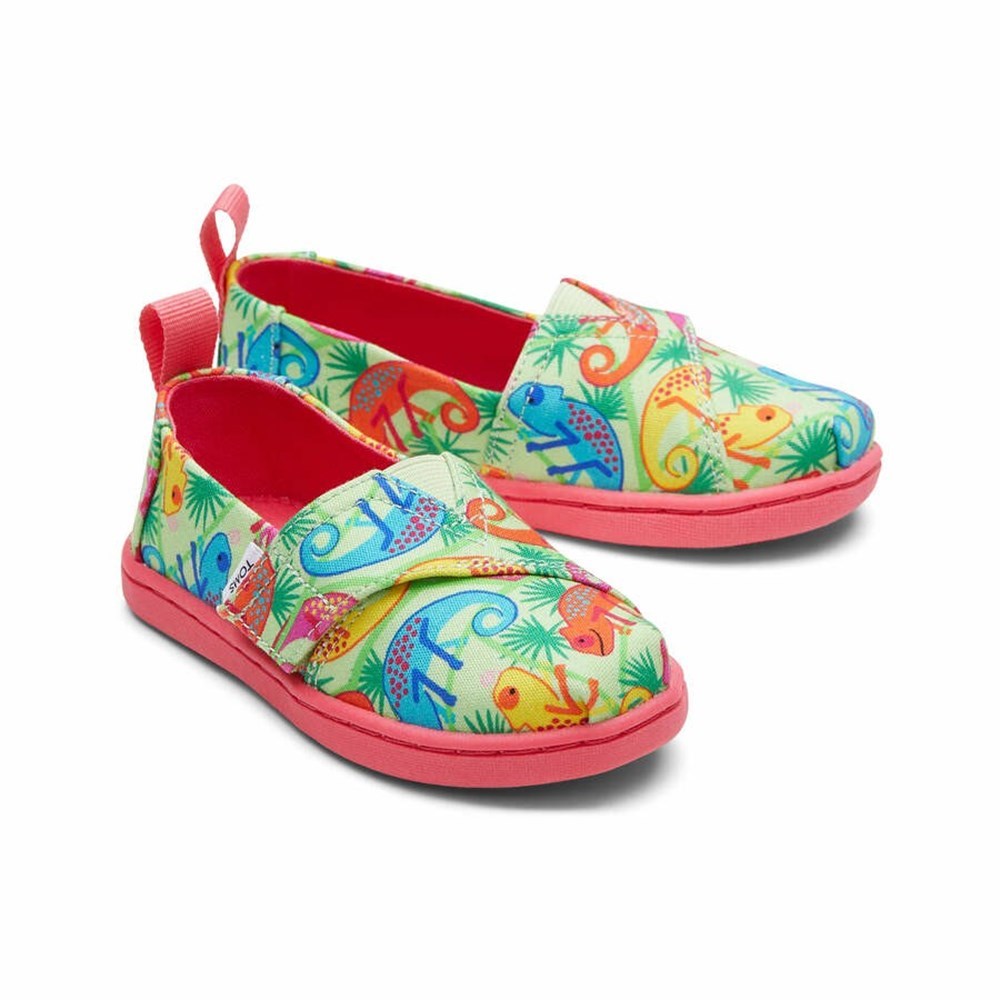 Toms Tiny Alpargata Chameleons Makosen Ayakkabı Çocuk Yeşil | UIH605184