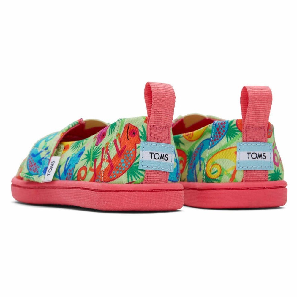 Toms Tiny Alpargata Chameleons Makosen Ayakkabı Çocuk Yeşil | UIH605184
