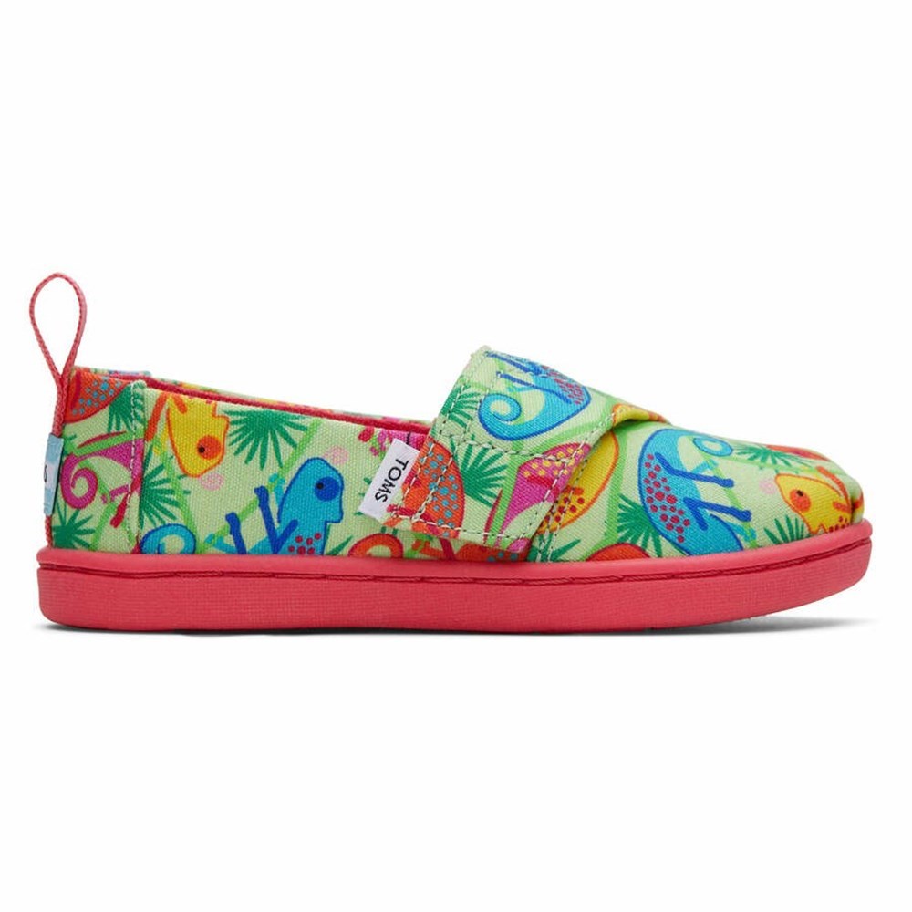 Toms Tiny Alpargata Chameleons Makosen Ayakkabı Çocuk Yeşil | UIH605184