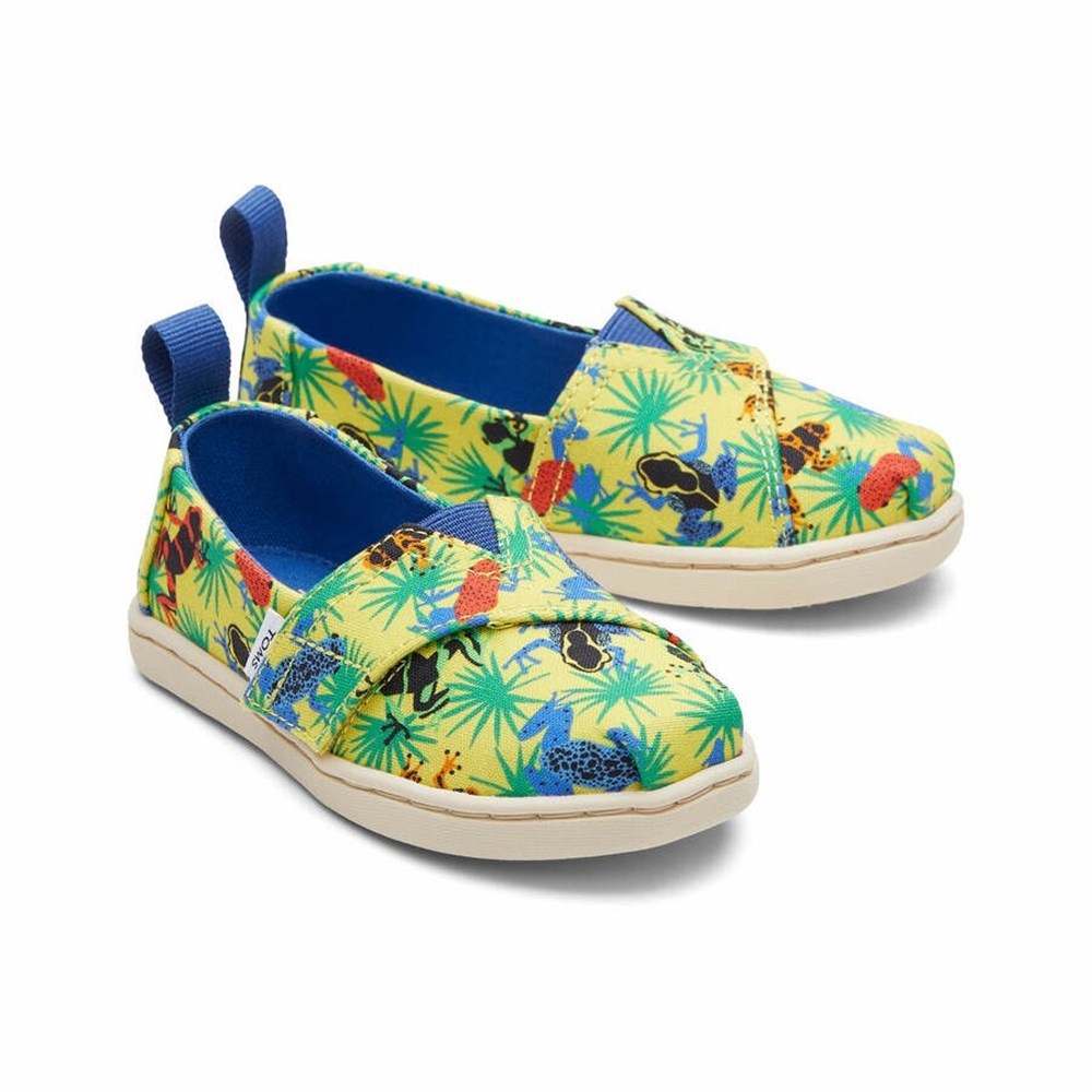 Toms Tiny Alpargata Tropical Frogs Makosen Ayakkabı Çocuk Sarı | CJF596870