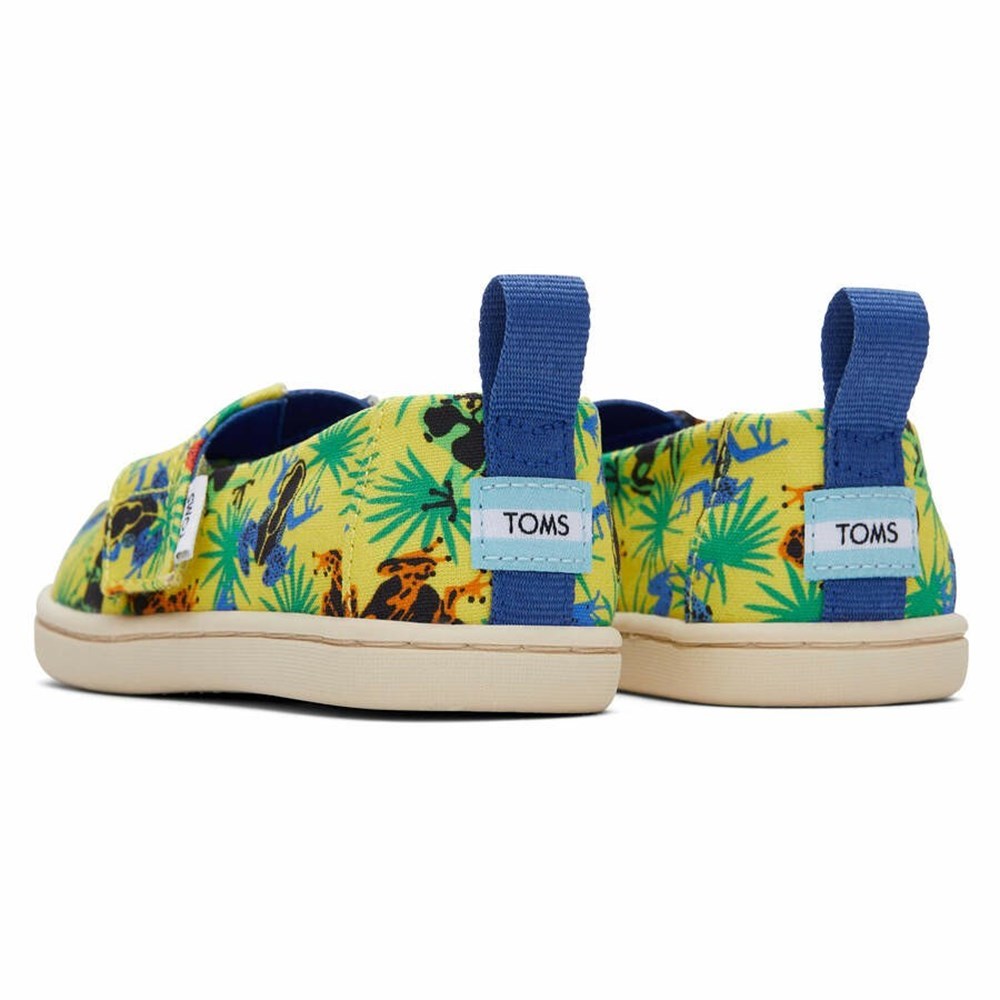 Toms Tiny Alpargata Tropical Frogs Makosen Ayakkabı Çocuk Sarı | CJF596870