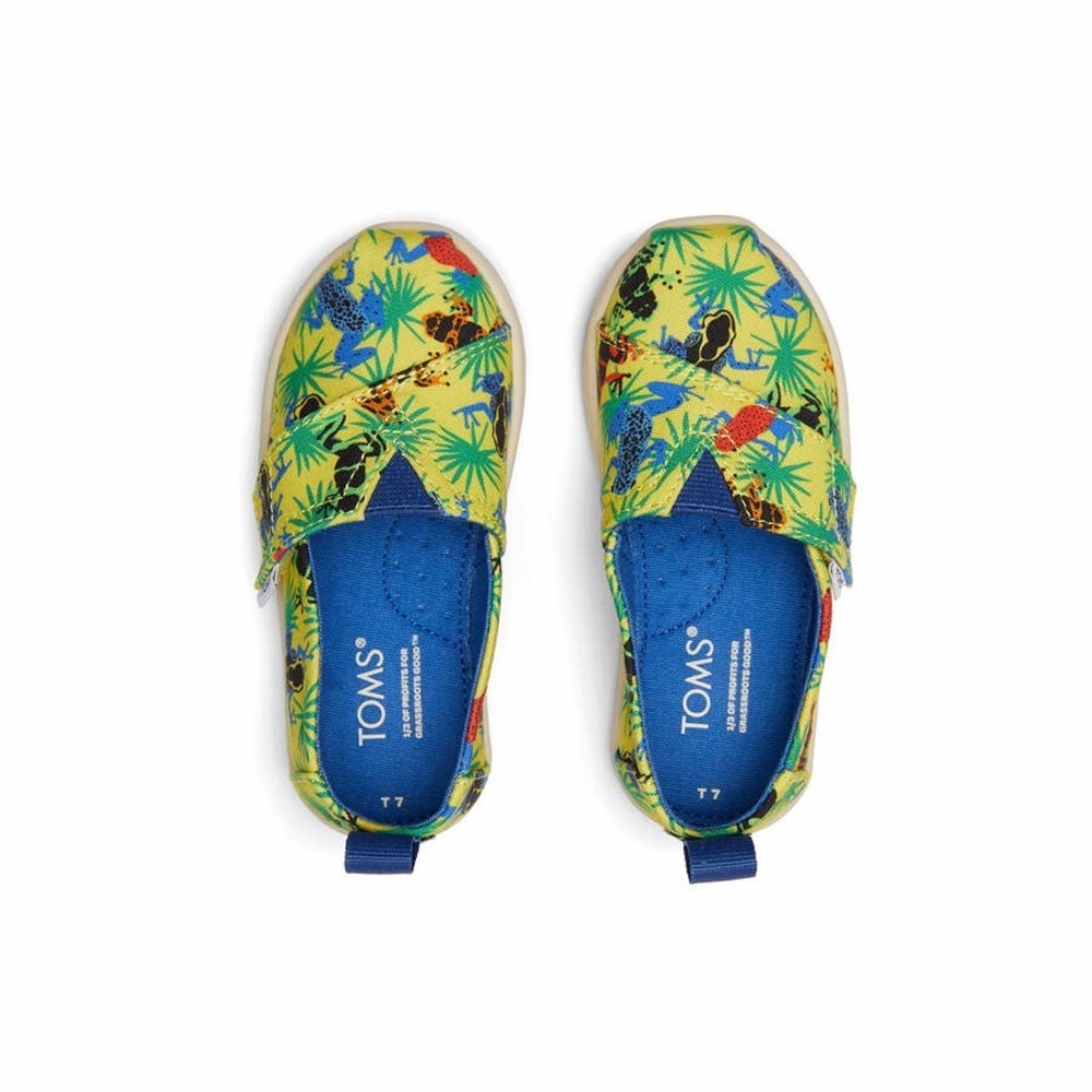 Toms Tiny Alpargata Tropical Frogs Makosen Ayakkabı Çocuk Sarı | CJF596870
