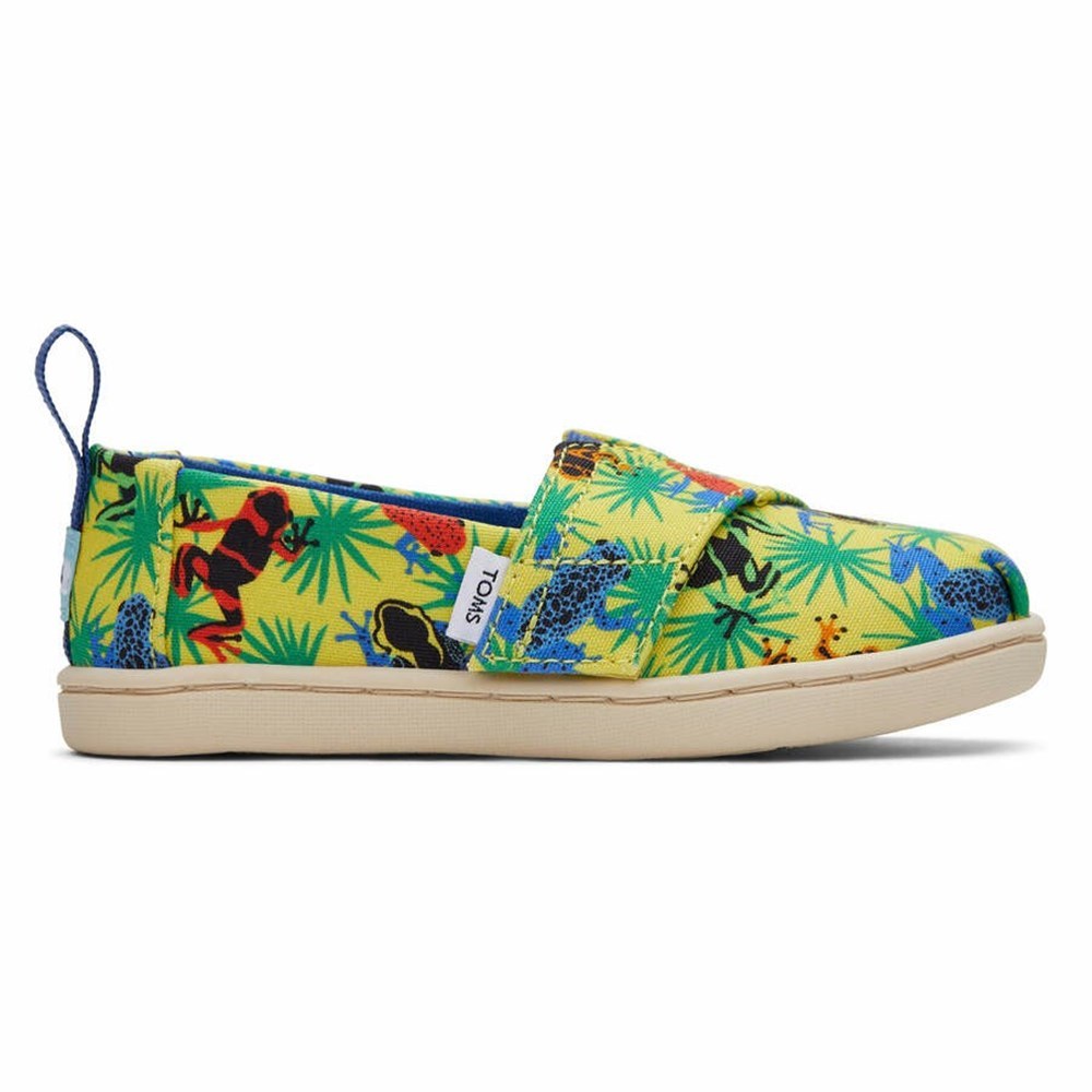Toms Tiny Alpargata Tropical Frogs Makosen Ayakkabı Çocuk Sarı | CJF596870