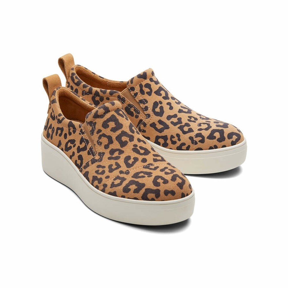 Toms Tristan Makosen Ayakkabı Kadın Leopar | RCB274539