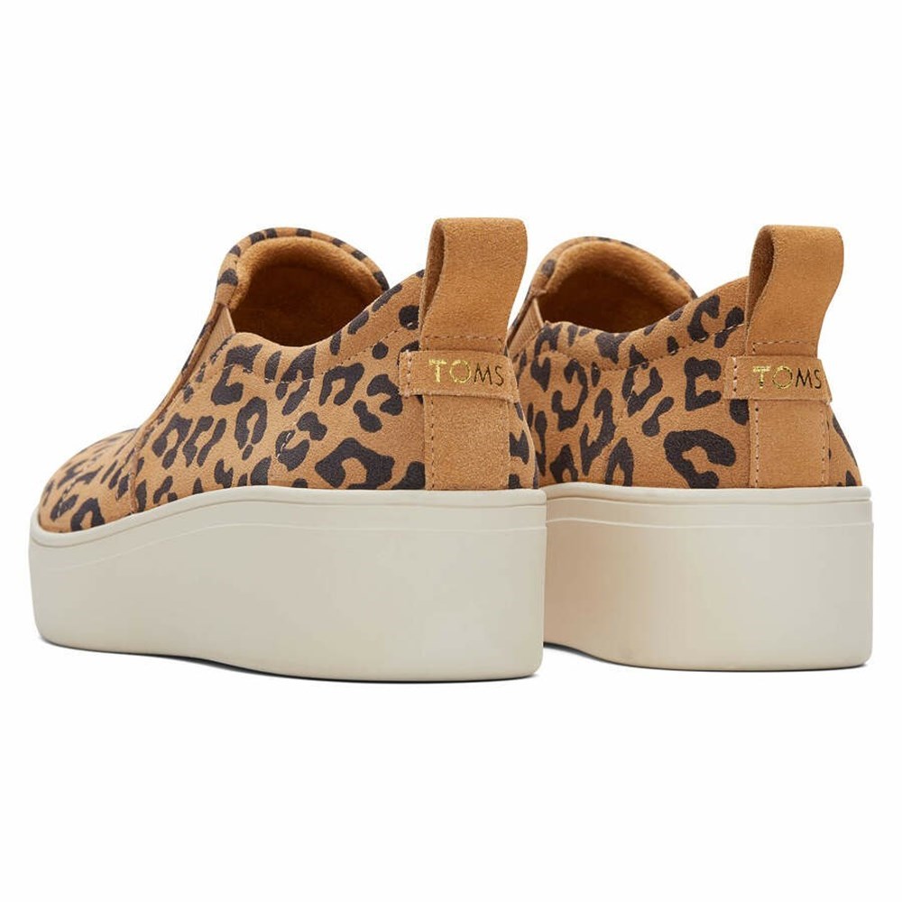 Toms Tristan Makosen Ayakkabı Kadın Leopar | RCB274539