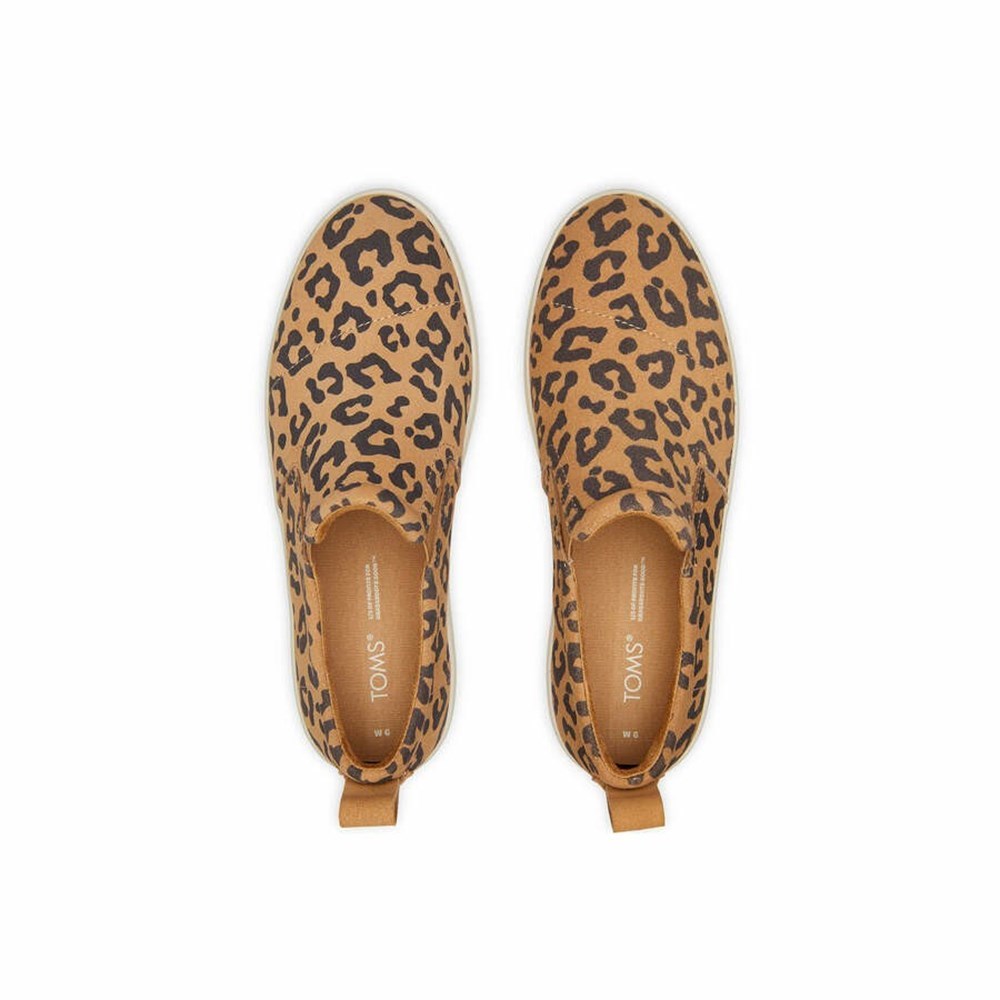 Toms Tristan Makosen Ayakkabı Kadın Leopar | RCB274539