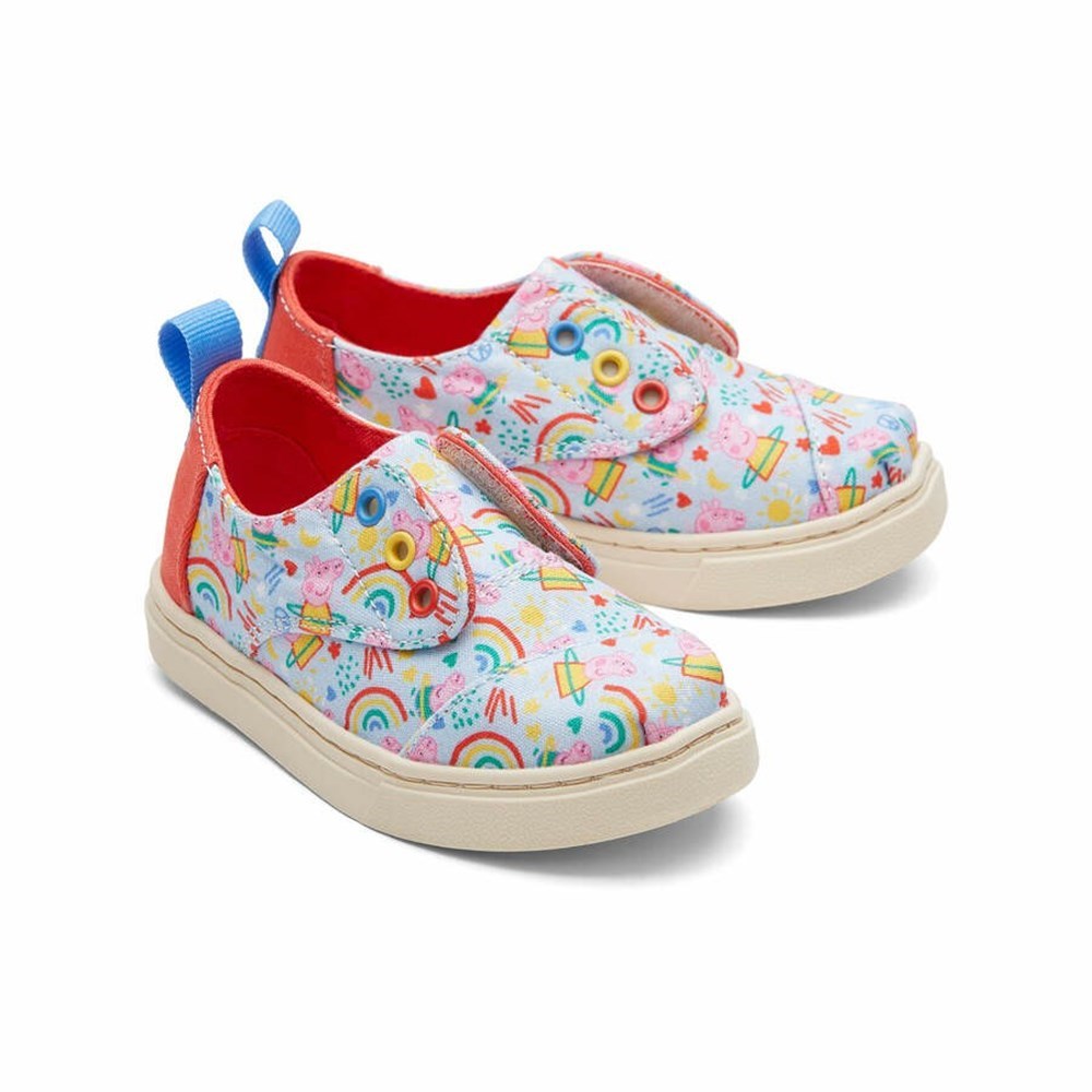 Toms X Peppa Pig Tiny Cordones Spor Ayakkabı Çocuk Açık Mavi | LVP420316