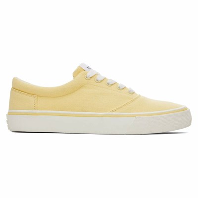 Toms Fenix Spor Ayakkabı Kadın Sarı | TAQ316857