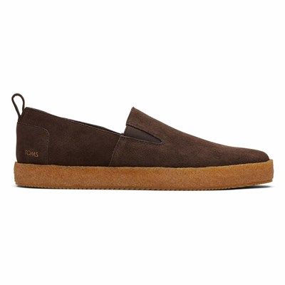 Toms Lowden Spor Ayakkabı Erkek Kahverengi | FDK549307