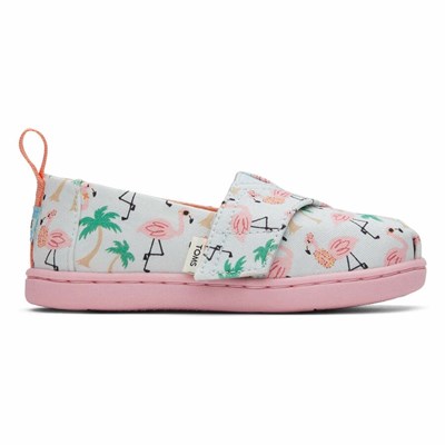 Toms Tiny Alpargata Hawaiian Flamingos Makosen Ayakkabı Çocuk Mavi | BDH630749