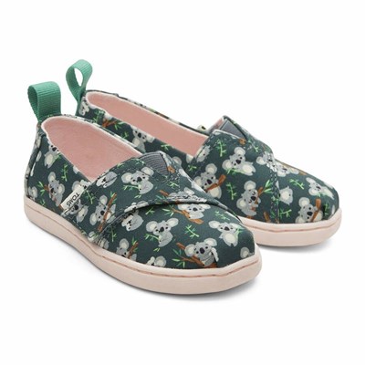 Toms Tiny Alpargata Koala Makosen Ayakkabı Çocuk Yeşil | NBU019574
